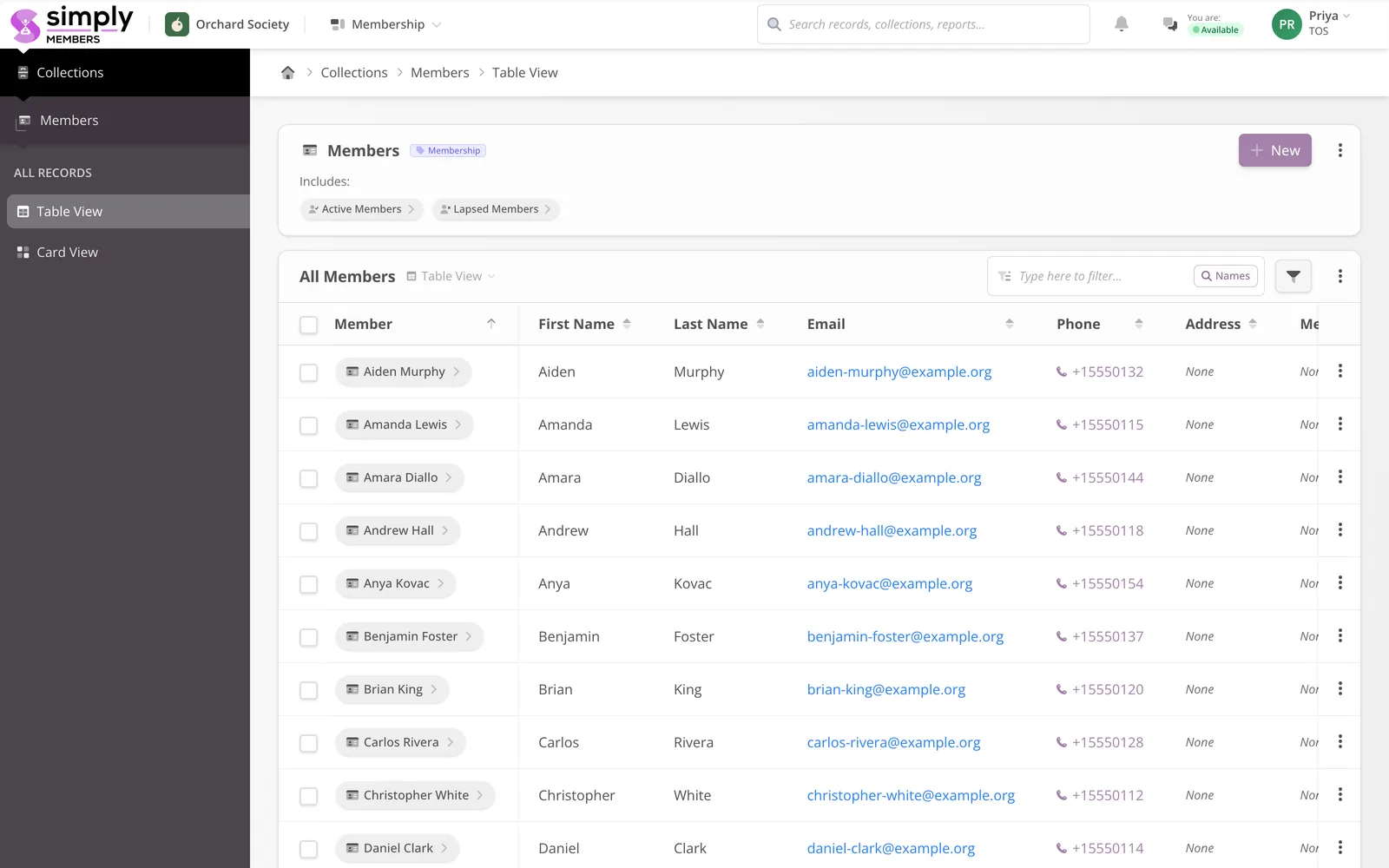 The member directory in Simply Members — names, levels, and renewal state in a live table.